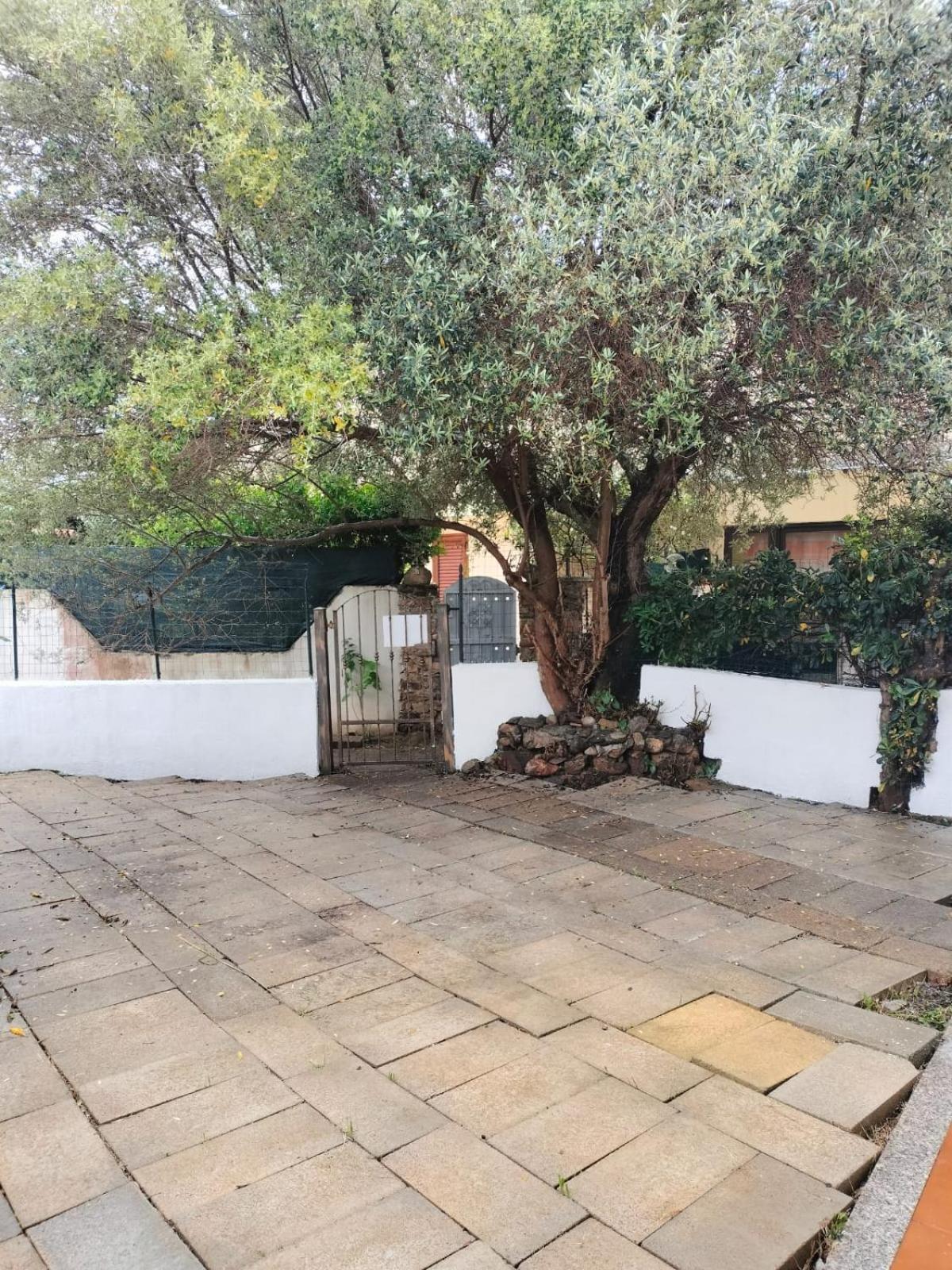 Casa Antony Villa San Teodoro  Exterior photo